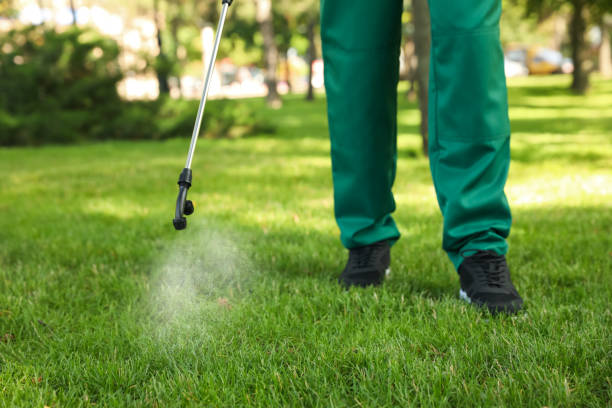 Best Local Pest Control Services  in Auberry, CA