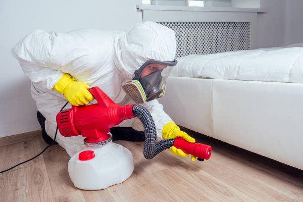 Best Residential Pest Control  in Auberry, CA