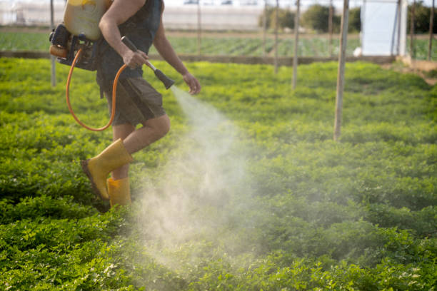  Auberry, CA Pest Control Pros