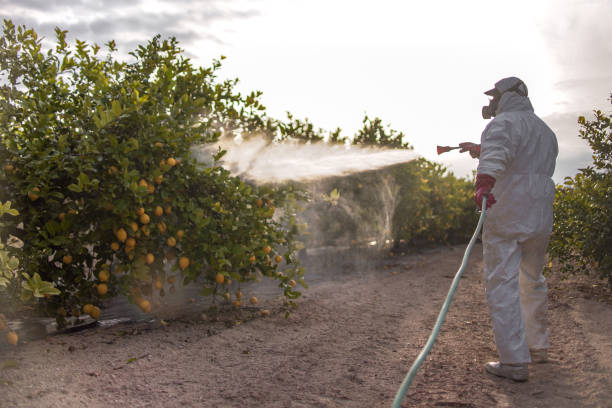 Best Cockroach Control Services  in Auberry, CA