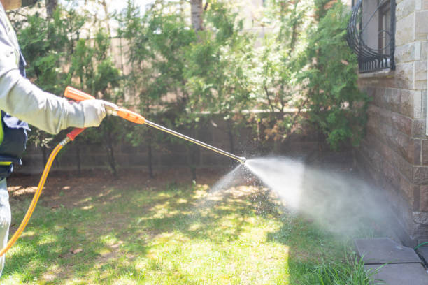 Best Best Pest Control Companies  in Auberry, CA