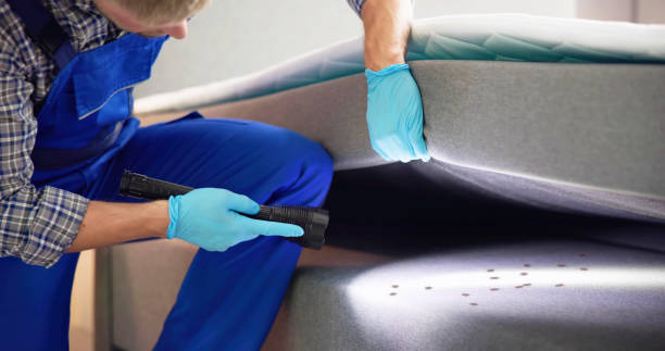 Best Pest Control Treatment  in Auberry, CA