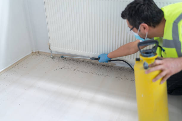 Best Pest Control Near Me  in Auberry, CA